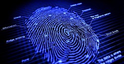 Internet Investigations: