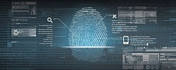 Internet Investigations